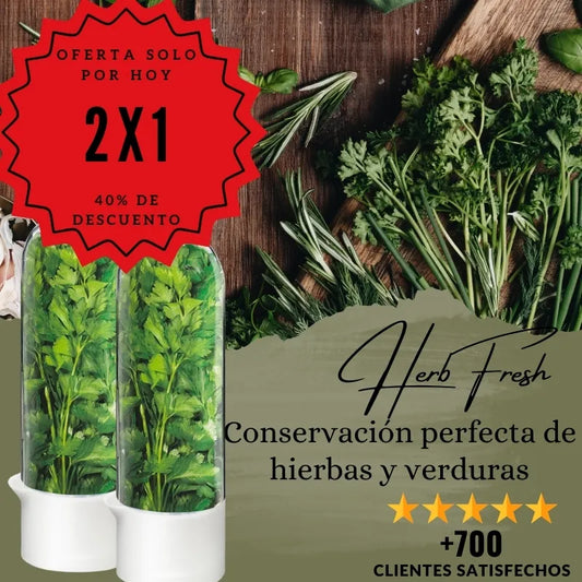 HerbFresh | Conservación perfecta de hierbas y verduras